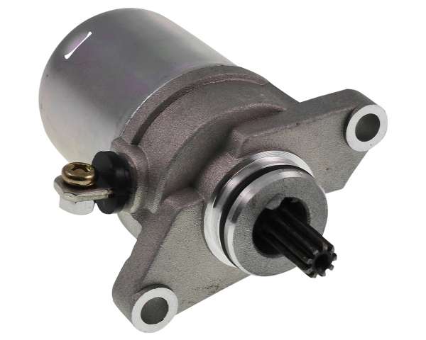 2954033