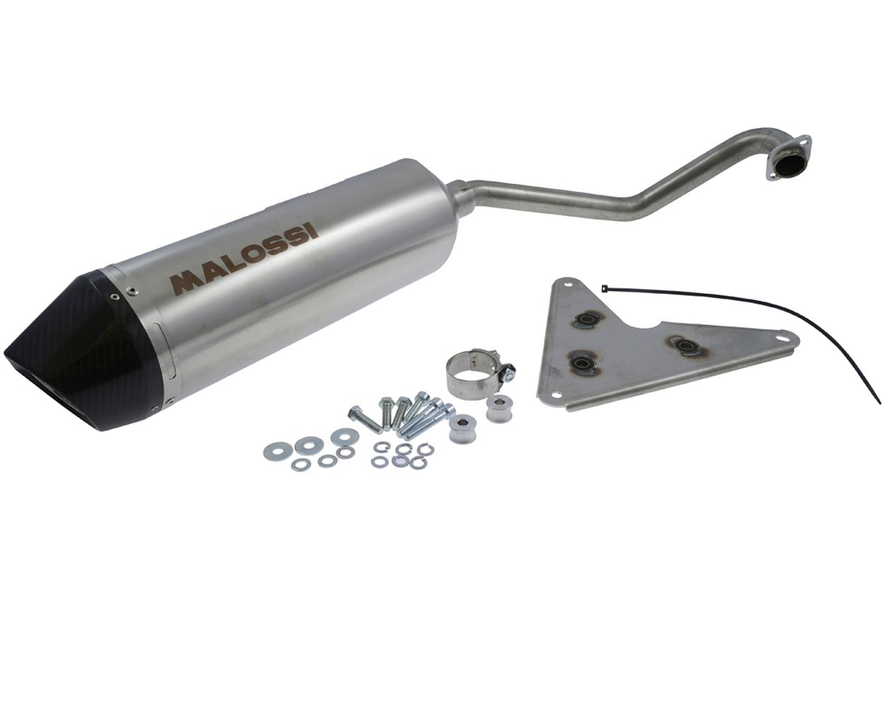 Auspuff MALOSSI RX