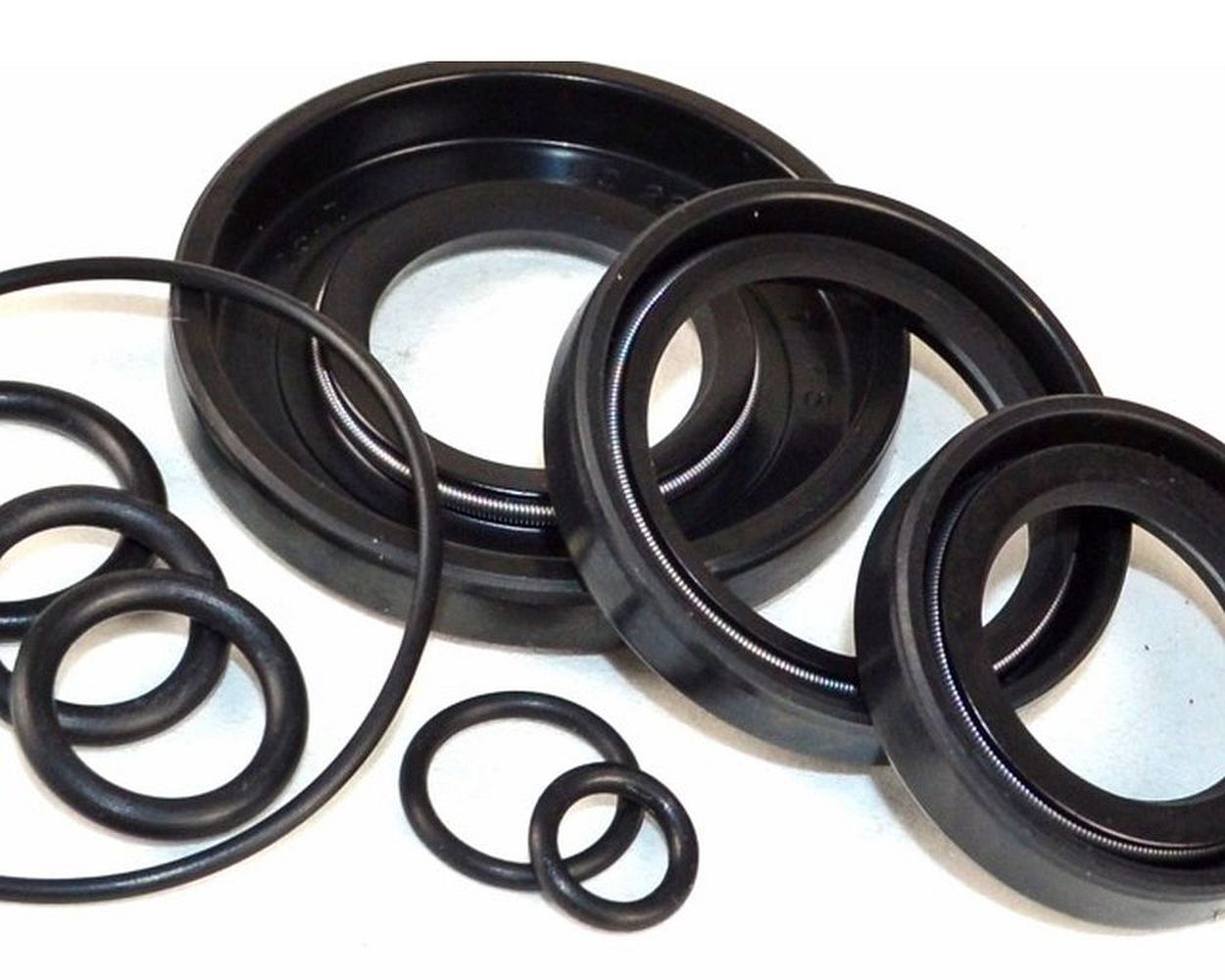 Wellendichtringsatz Motor