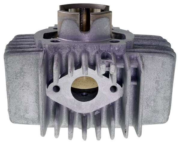 3010032