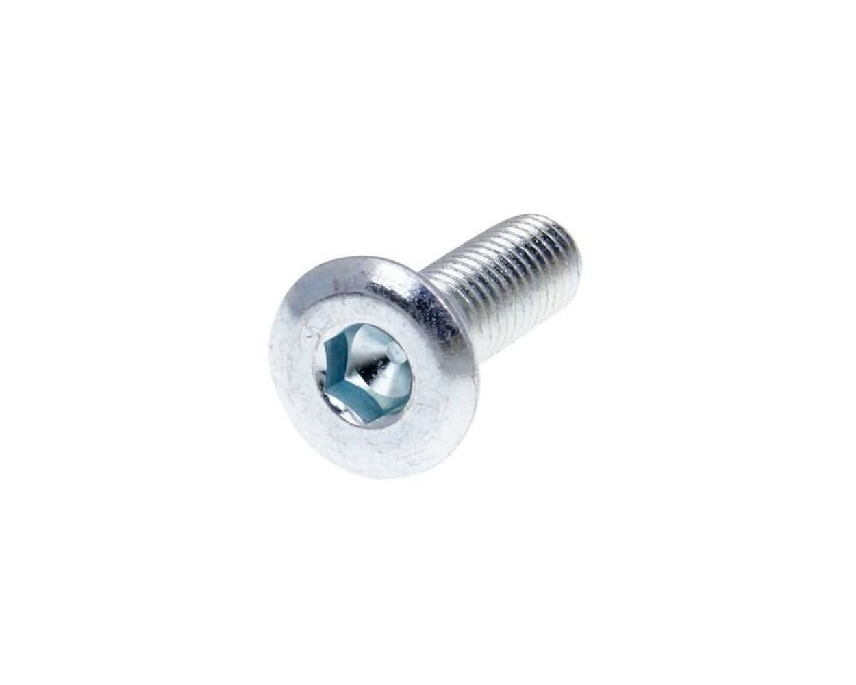 Flachkopf Schraube M8 für Bremsscheibe mit 10 mm Loch