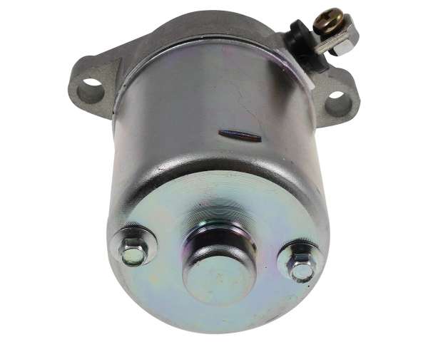 2954033
