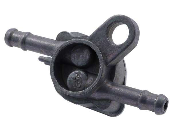 4021556