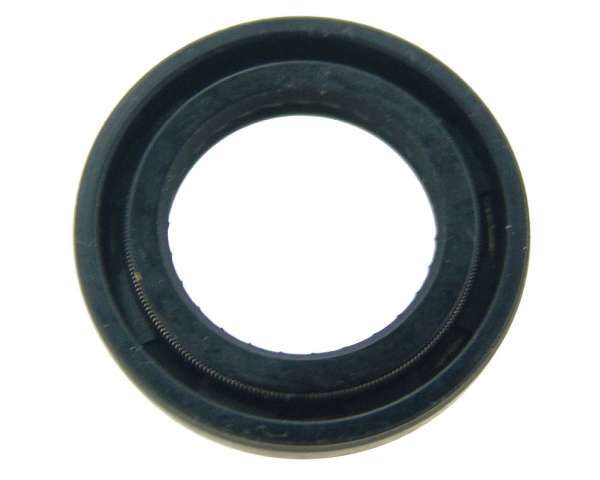 2955988