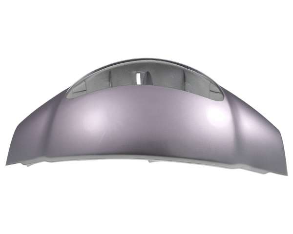 2901259_Verkleidung_Scheinwerfer_silber_BT49QT9_YY50QT_usw_8
