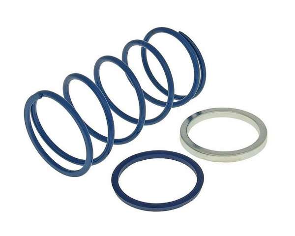 Gegendruckfeder POLINI Evo-Slider für Piaggio d 50mm