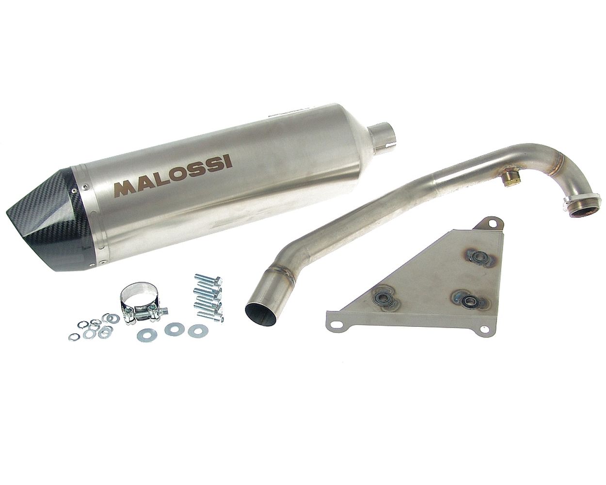 Auspuff MALOSSI RX
