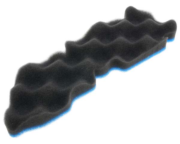 2955563