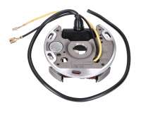 Lichtmaschine / Stator 6V, 17W, kompaibel für Hercules Prima 2 3 4 5, Sachs 505, Puch Maxi S, N 50 2-Takt Zündspule Mofa