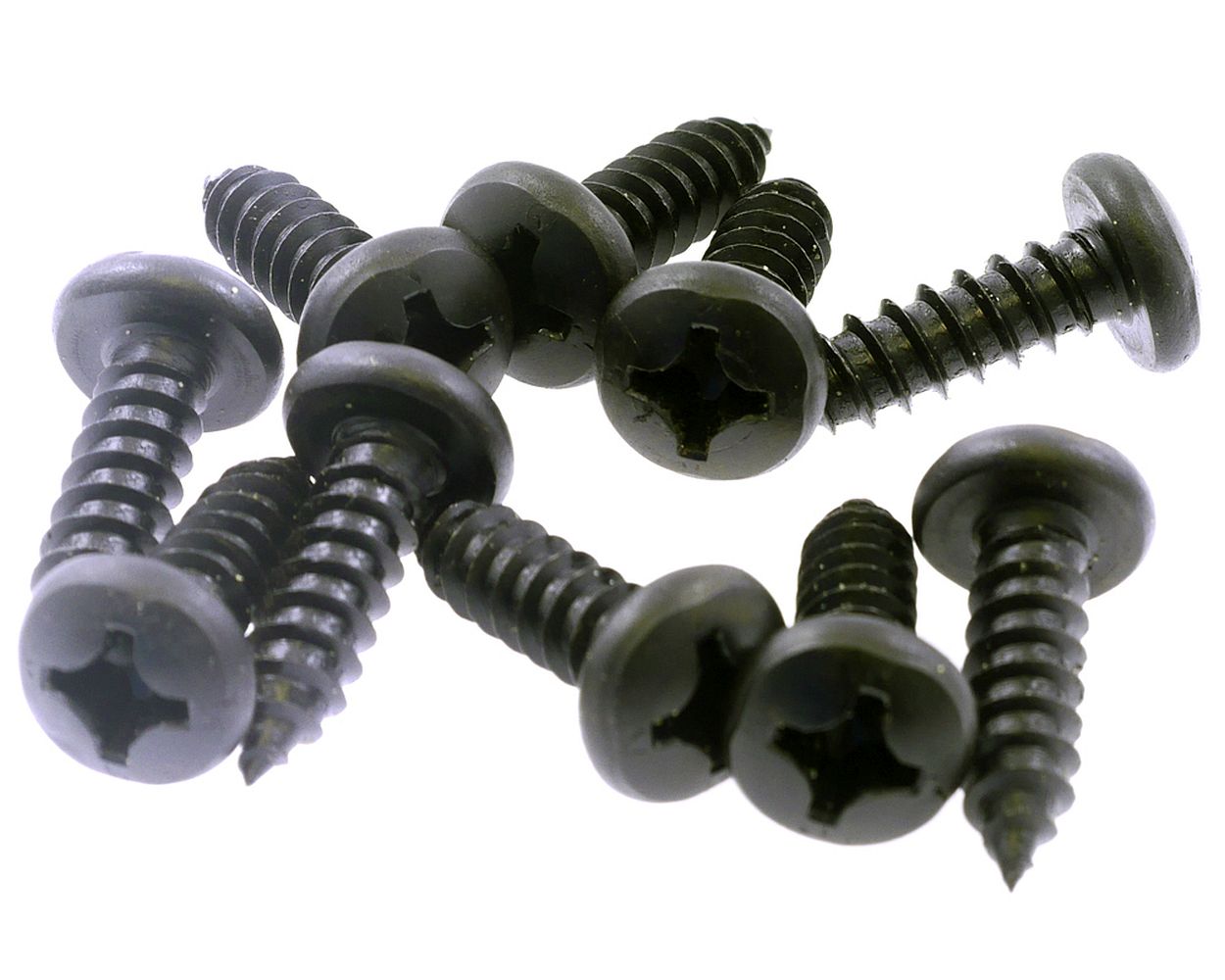 Blechschraube kreuzschlitz Set Schwarz 5,5x19 mm 10 Stück