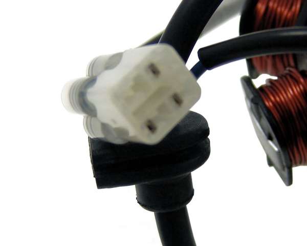 2954627