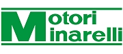 MOTORI MINARELLI