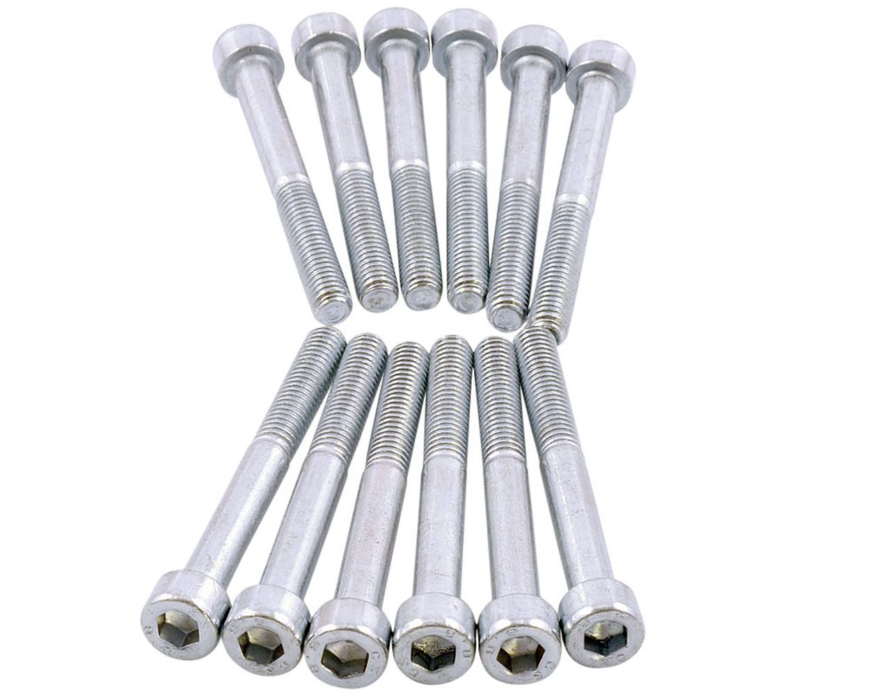 Sechskant Schraube M6x55 (12 Stück)