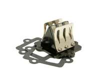 Membranblock Racing 6-Klappen kompatibel für Minarelli liegend / China 2-Takt 50ccm Yamaha Aerox, MBK Nitro, Aprilia SR50, CPI Oliver