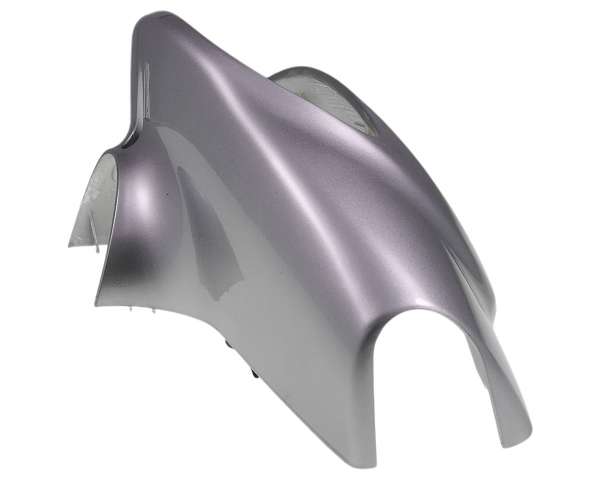 2901259_Verkleidung_Scheinwerfer_silber_BT49QT9_YY50QT_usw_7