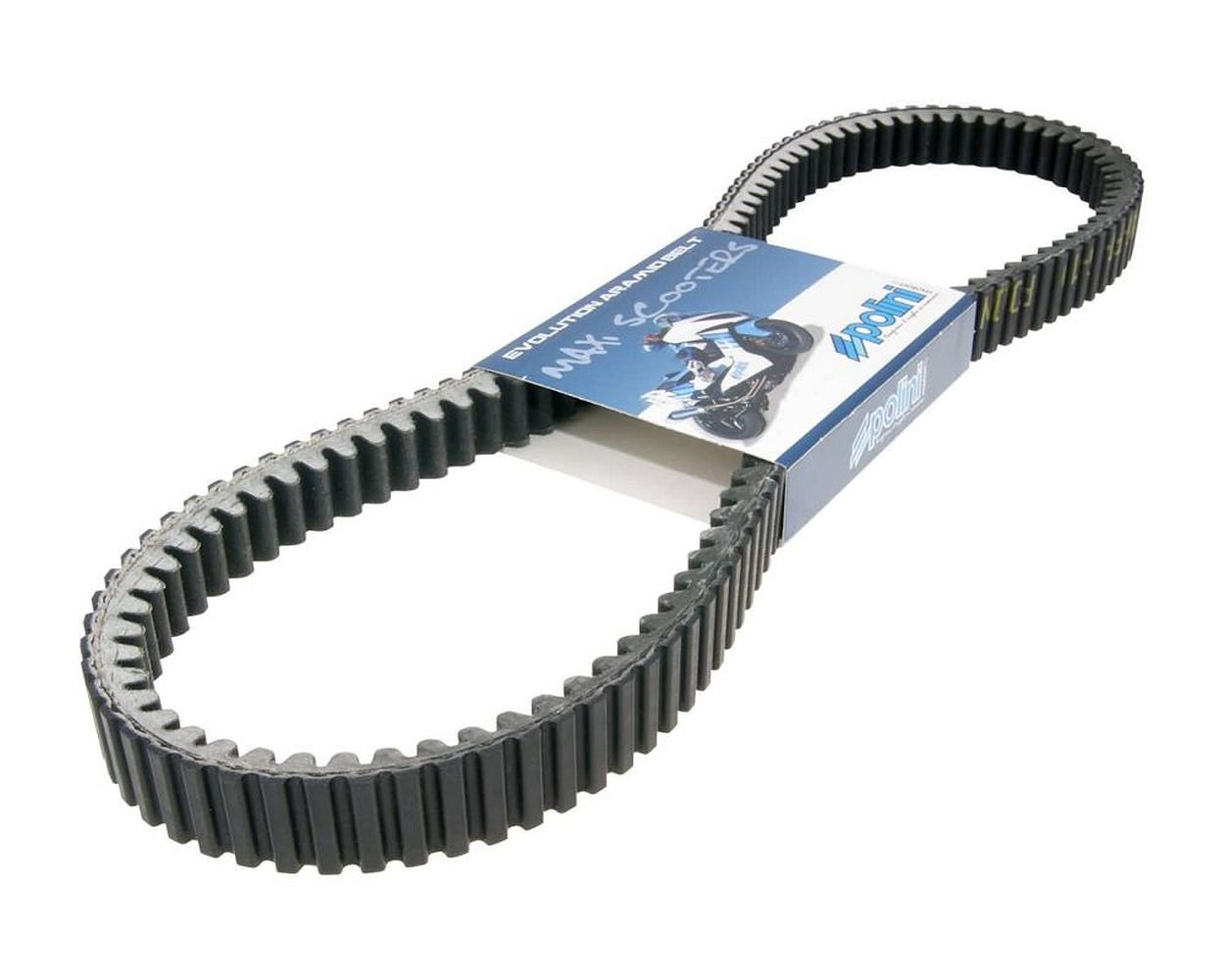 Keilriemen POLINI Aramid Maxi Belt 1081x24,2 mm 28 Grad