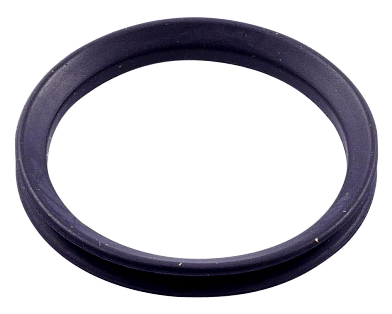 Dichtring Gabel