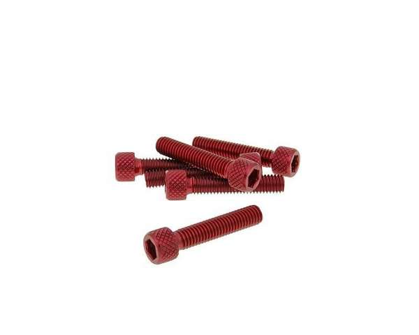 Schraubensatz 6 Stück Sechskant Alu - M6 30mm