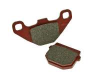 Bremsbeläge / Bremsklötze STANDARD organisch für Adly, CPI Typ-519