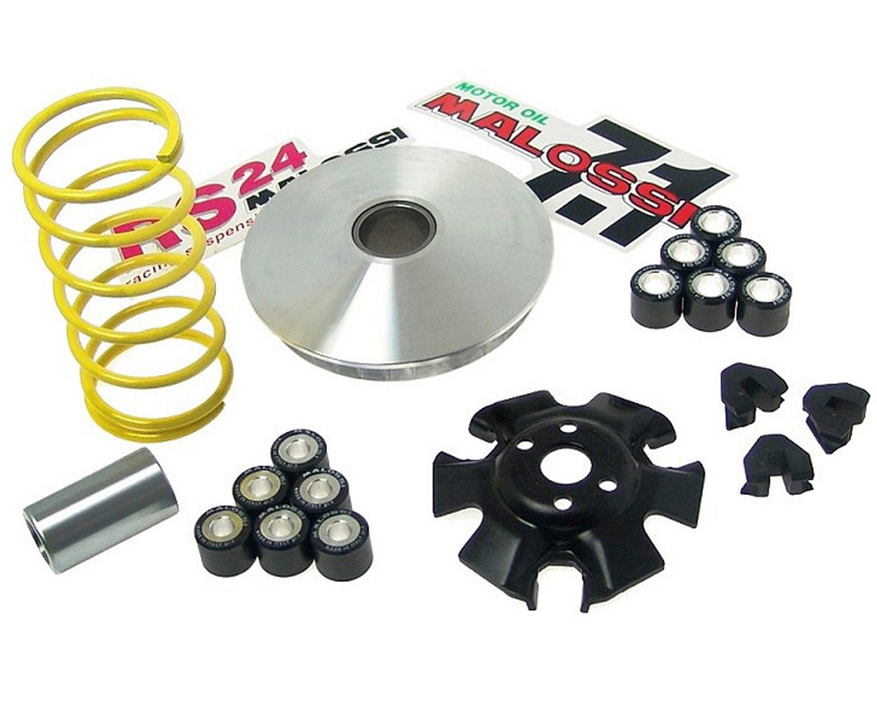 Variomatik MALOSSI MULTIVAR m. ROTAX-Motor 125-150 cc