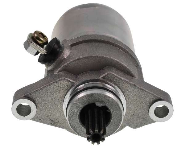 2954033