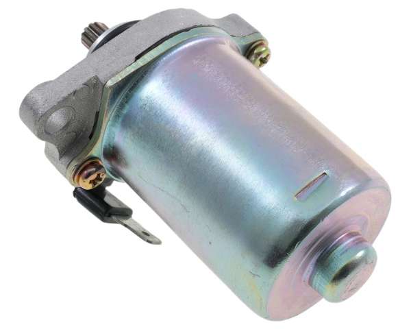 2950929