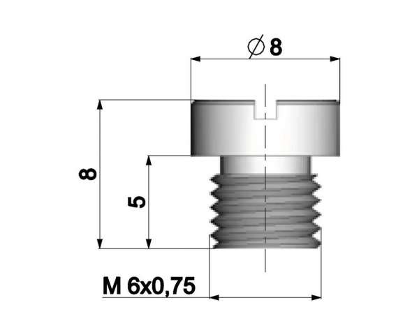 Hauptdüse POLINI 6mm für Dellorto Vergaser