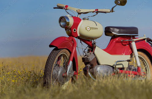 Karosserieschraube RMS Piaggio/ Gilera 298086-575249 - Parker und  Plattenmuttern -  - Mofa, Roller, Ersatzteile und Zubehör